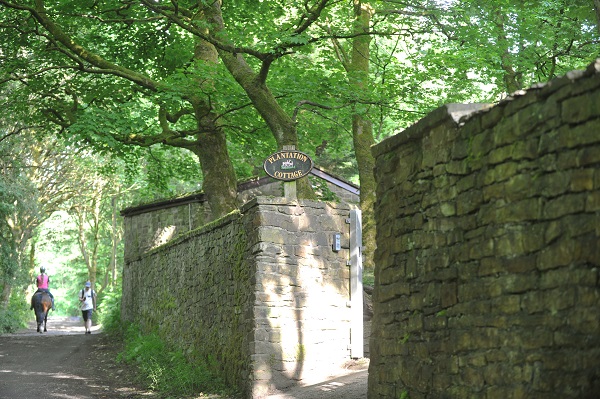 Plantation Cottage
