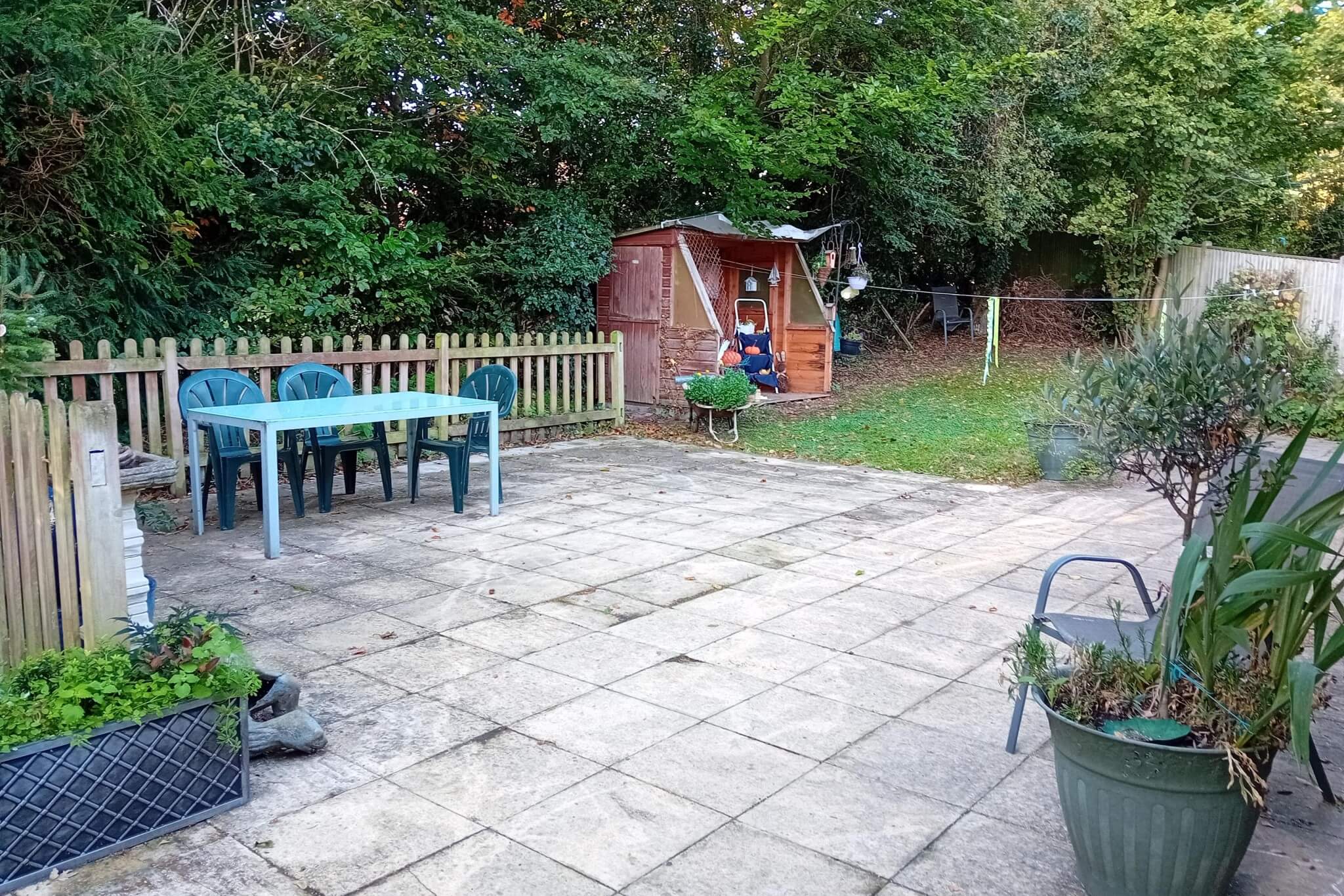 Salisbury Road garden