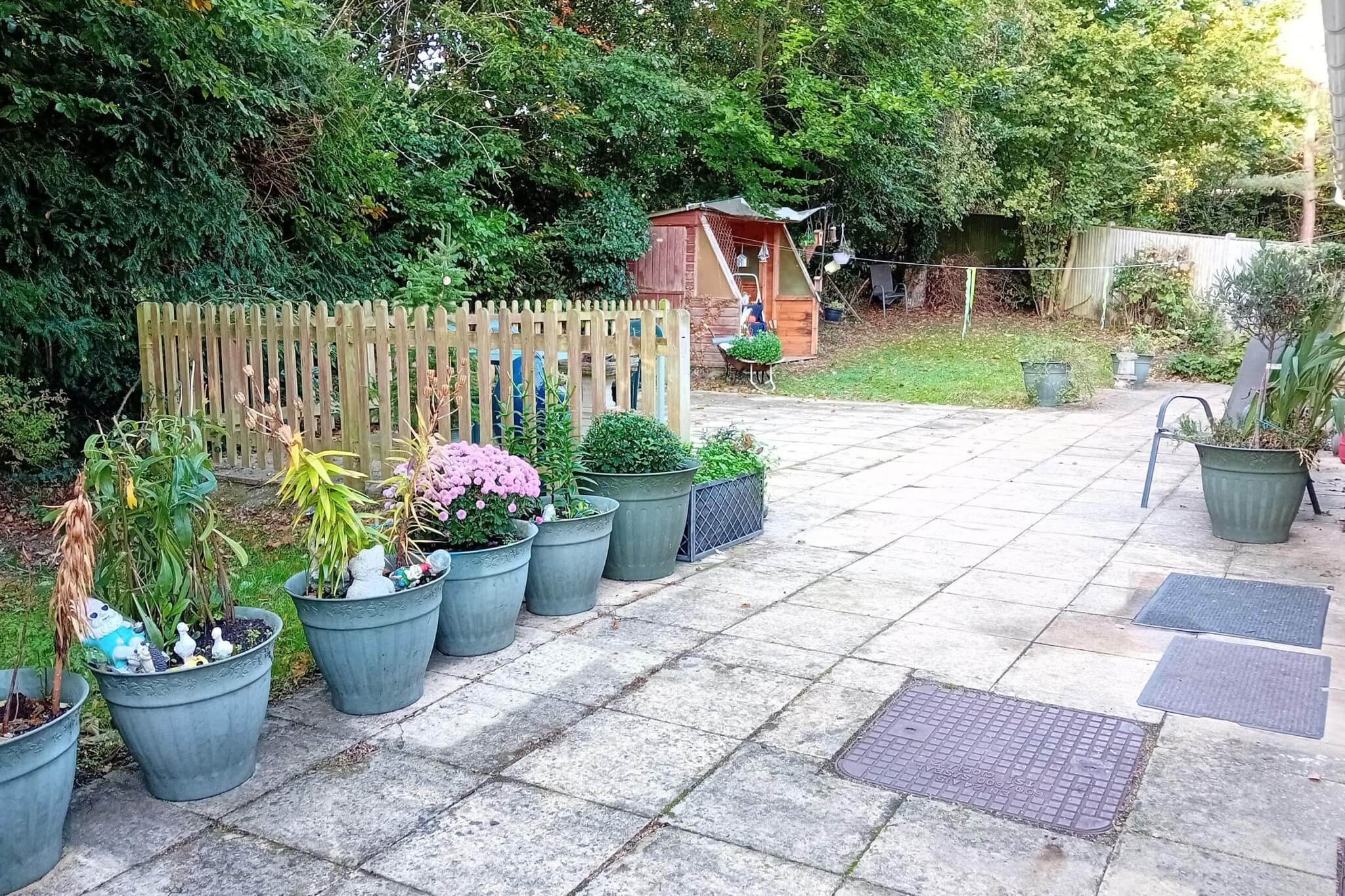 Salisbury Road garden