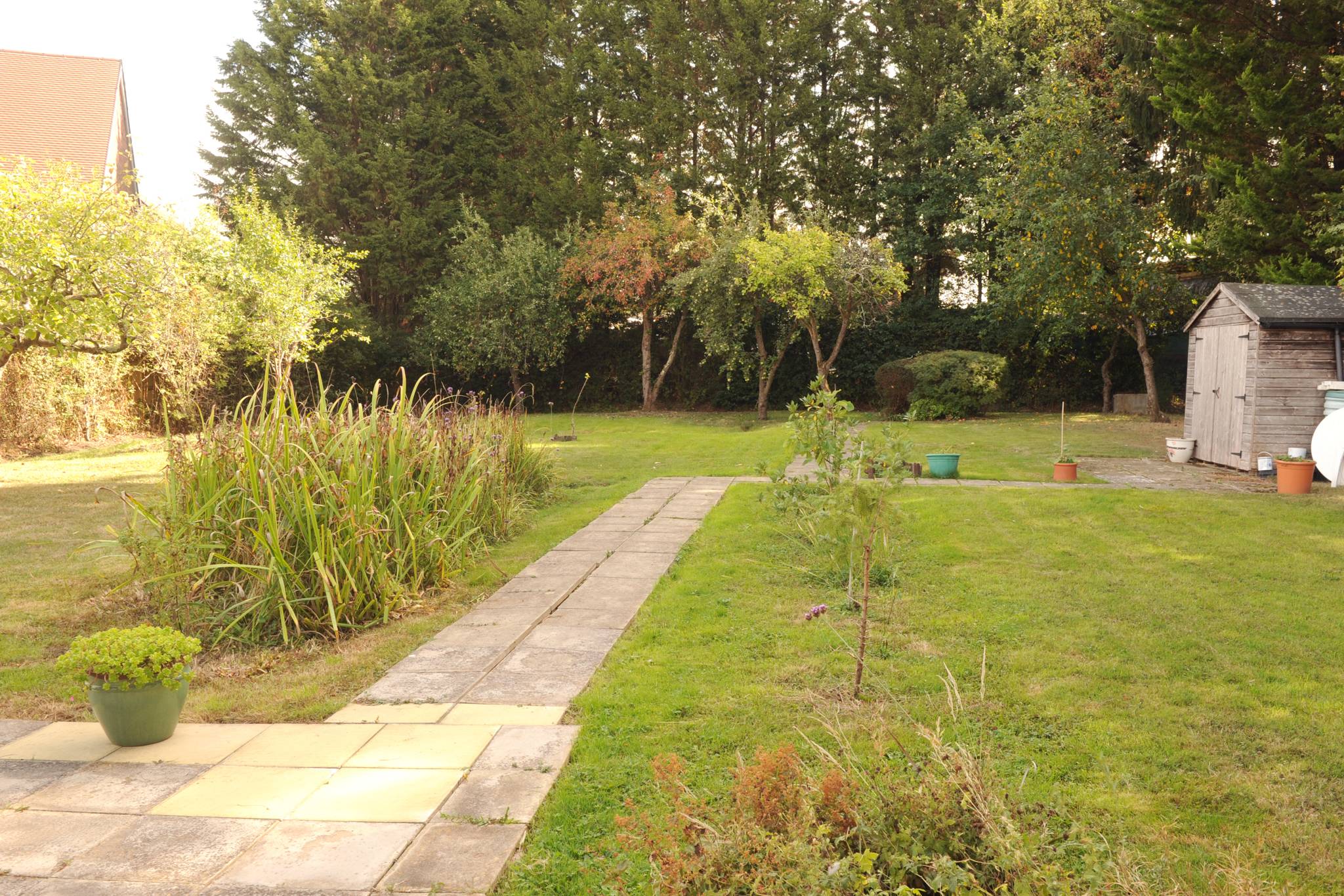 The Bungalow garden 2