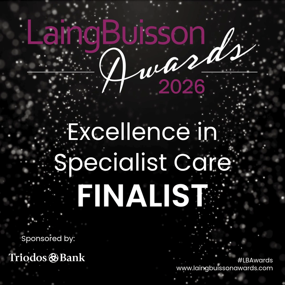 LaingBuisson Awards1