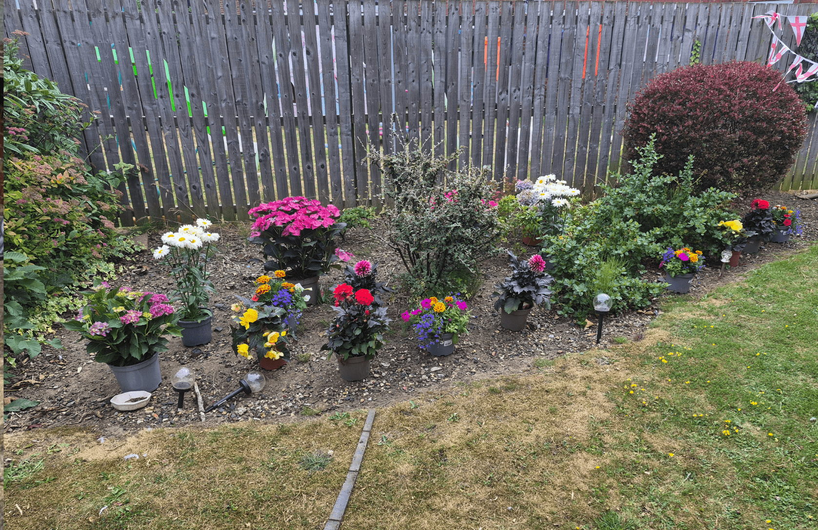 Pamela's garden