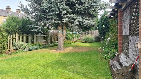 Reevylands garden