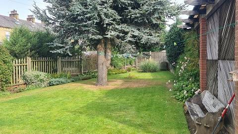 Reevylands garden