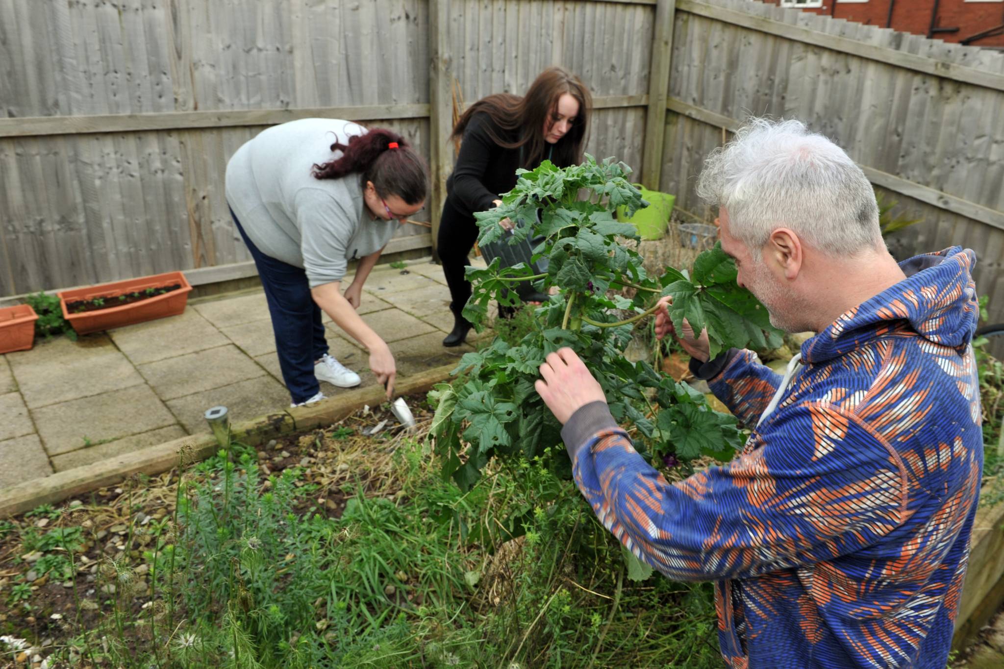 People tending to plants