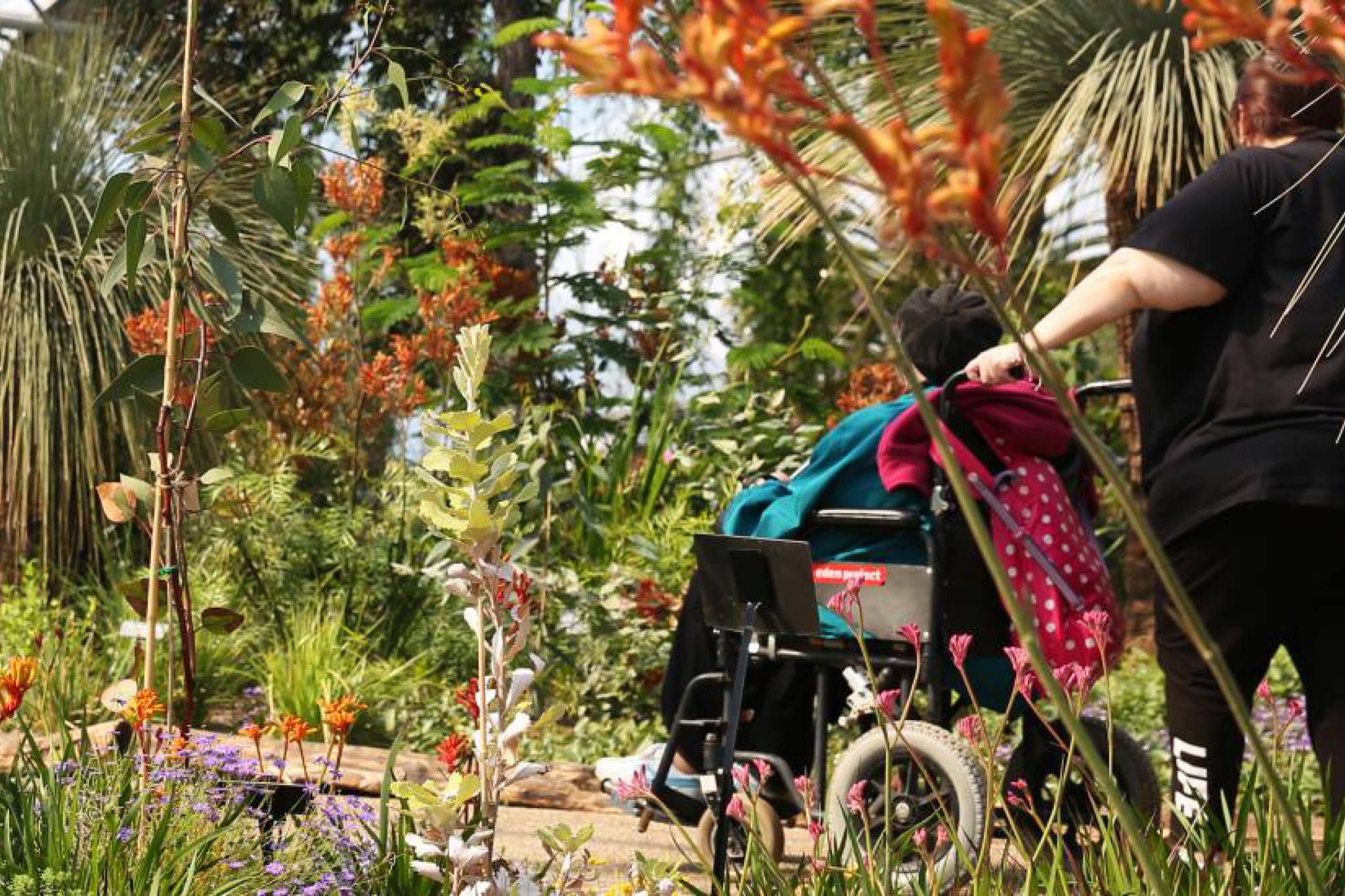 Wheelchair user at The Eden Project