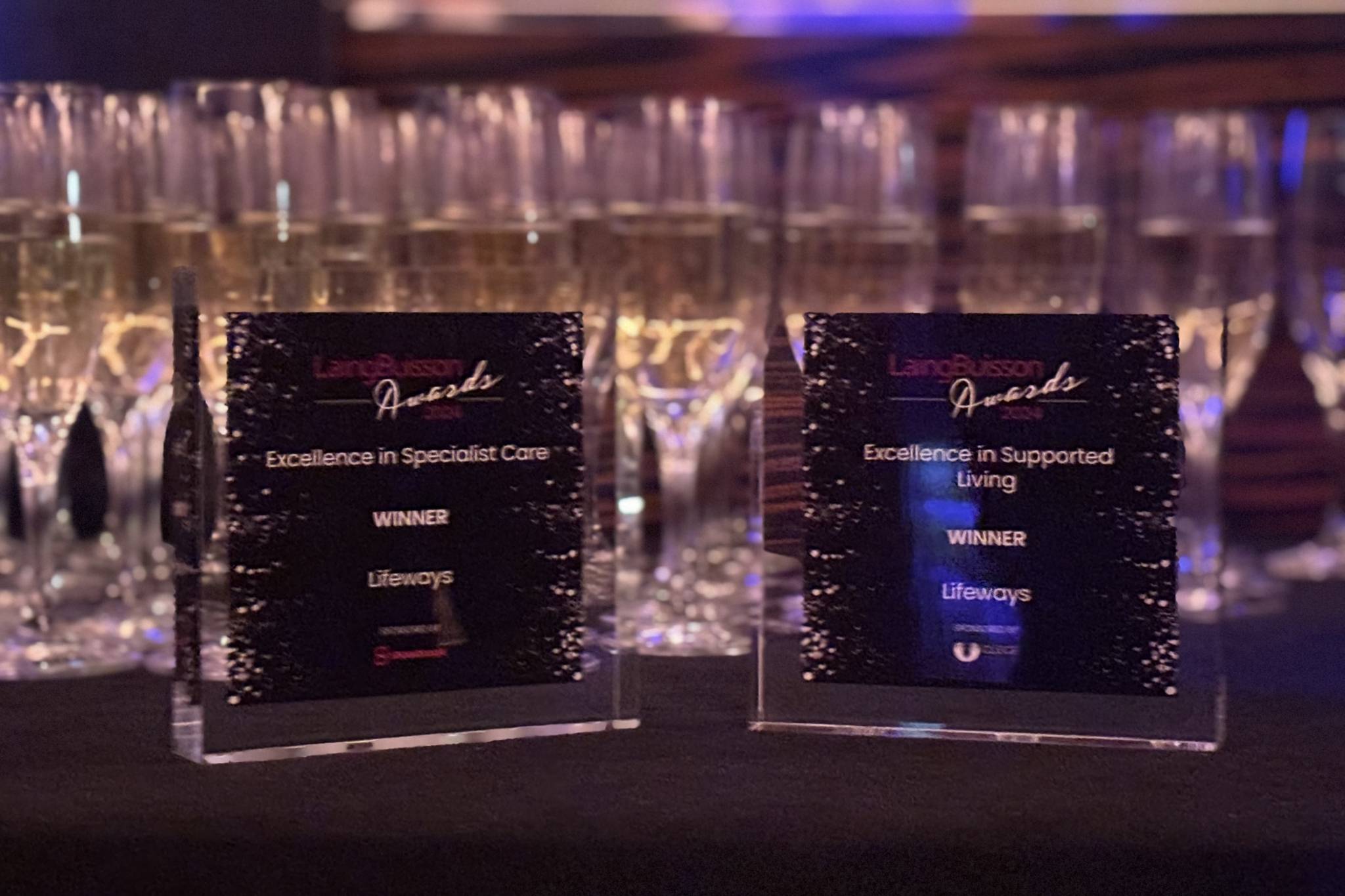 The LaingBuisson Awards won by Lifeways.